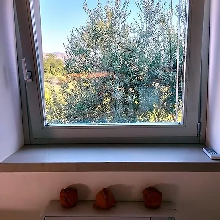 فندق مبيت وإفطار Casa Giufa